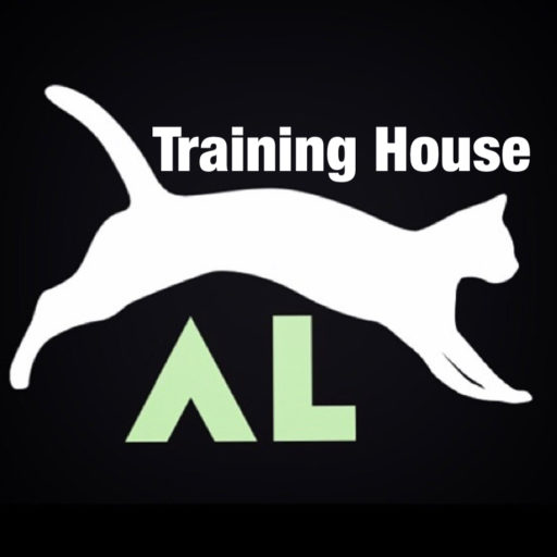 al___training
